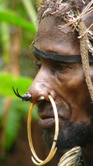 Papua-stromoví lidé-kmen Kombai